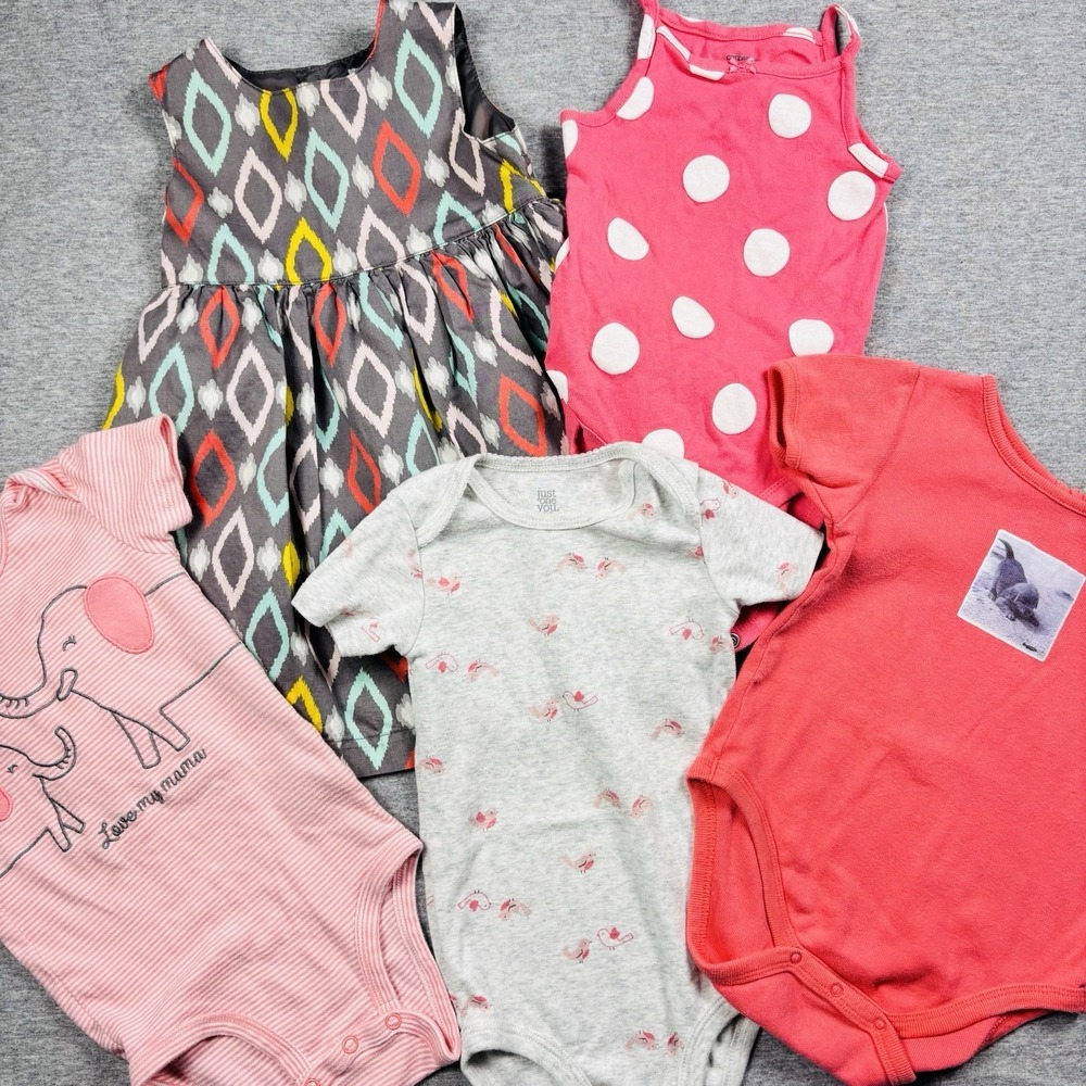 Girls Clothing Lot 18 Months Carter's Dress Bodysuits Baby Gap 5 Pieces